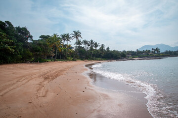 Costa de playa del caribe con agua cristalina y palmeras