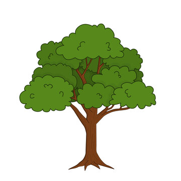 Vector outline doodle cartoon single bright green oak tree. Isolated hand drawn illustration on white background for Forest scene.
