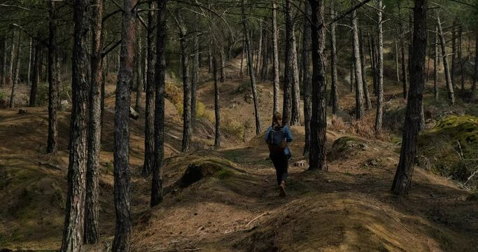 Traveler woman with backpack walking in the scenic forest among tall trees. Concept of digital detox, backpacking and finding inner balance.