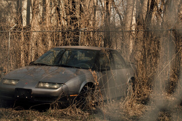 Obraz na płótnie Canvas car in the woods
