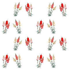 Fototapeta premium Floral pattern of colorful snapdragon flowers isolated on white 