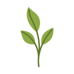 green leaves illustration