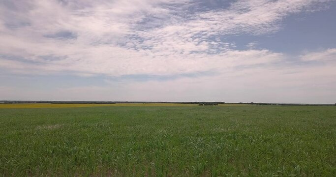 Green Field and clouds Drone 4k