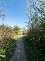 Swanscombe nature reserve footpath heading towards the sculpture