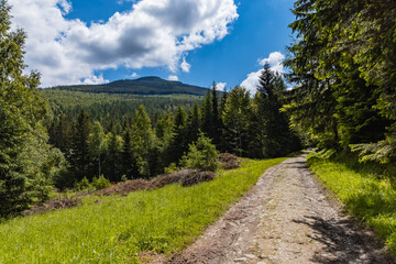 Fototapeta na wymiar Long mountain trail with bushes and trees around in Karkonosze Giant Mountains