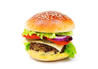 Cheeseburger isolated on a white background. Hamburger with cheese. Burger isolated