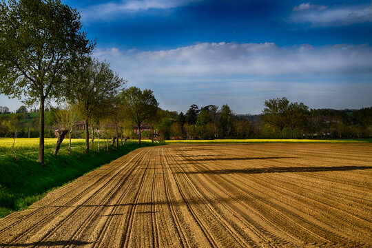 Terre seminate
(Valmadonna - AL) - Italia