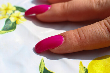 Close up on woman's fingers with long fuchsia pink lacquered nails