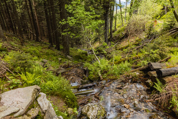 Fototapeta na wymiar Small stony waterfall next to mountain trail in Giant Mountains