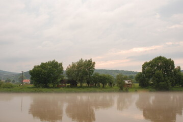 Fototapeta na wymiar Rzeka San latem we mgle