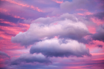 Fototapeta premium white clouds in a pink sunset sky
