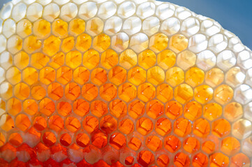 Fresh honey in honeycombs
