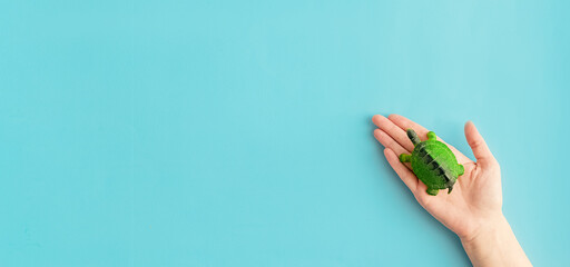 World turtle day and Ocean environmental day.A small turtle in a woman's hand on a blue background