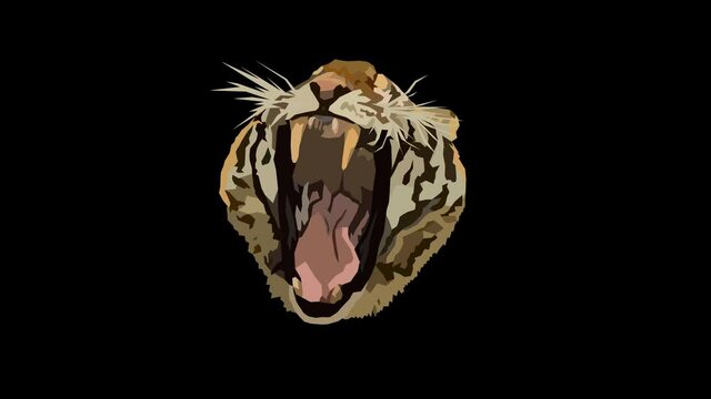 Animated Sumatran Tiger Cat Yawning Animation Loop