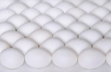 White boiled eggs on white background