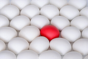 White boiled eggs and one red egg on white background