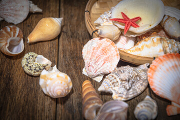 Seashell treasures on wooden old boards.