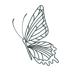 pretty butterfly design