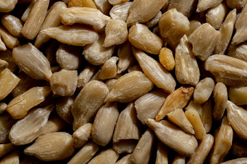 A close up look at sunflower seeds, taken with natural light.