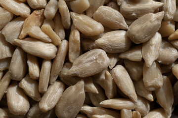 A close up look at sunflower seeds, taken with natural light.