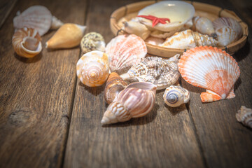 Seashell treasures on wooden old boards.