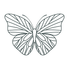 beautiful butterfly icon
