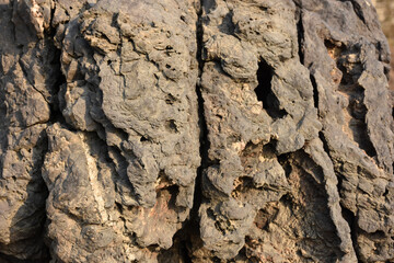 volcanic rock surface with large pores