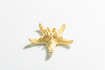 Fototapeta na wymiar Single starfish isolated on white background