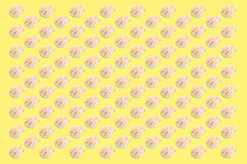Seashells pattern on the yellow background