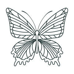 cute butterfly icon