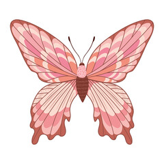 pink butterfly icon