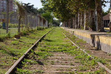 Abandoned train tracks on a  sunny day.