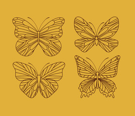 four cute butterflies
