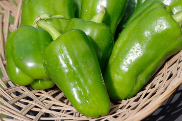 summer ripe green peppers in wooden basket 