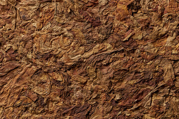 Tobacco leaves pattern. High quality photo