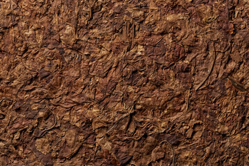 Tobacco leaves pattern. High quality photo