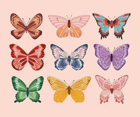 Fototapeta na wymiar cute butterflies set