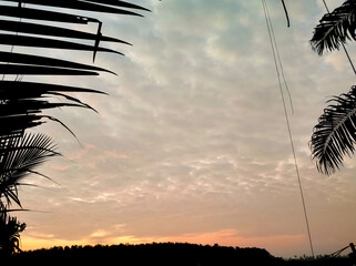 Scenery of sunrise with clouds and coconut trees in a village area.