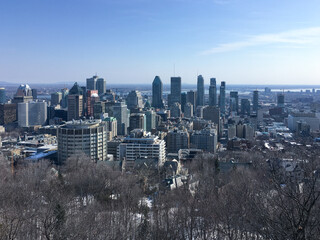 Fototapeta premium View of downtown Montreal from Mont-Royal