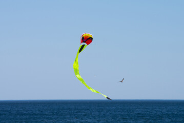 Colorful kite flying in the wind sky fun play