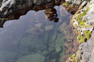 海の中にある透明な海の岩の池