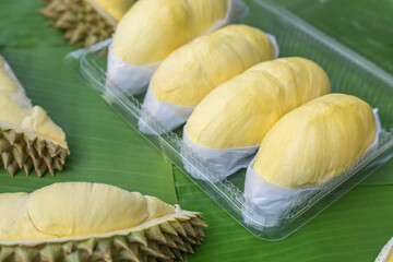 Golden yellow durian in a clear plastic box With a banana leaf background. Ripe durian, the king of fruits of Thailand