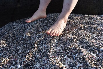 貝殻だらけの砂浜青年の素足