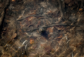 Looking down at the bottle under water.