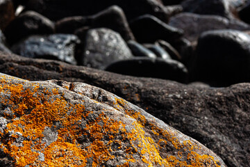 Mossy Rock on Shores of Lake Superior