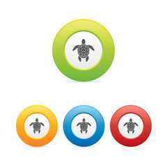 Colorful Set of Sea Turtle Round Icons