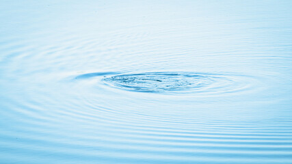 Bird diving in the lake water surface creates a water ripples effect.
