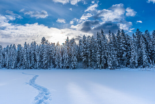 Sunset over fresh snowshoe tracks in the snow on Lake Lillian near Invermere, BC