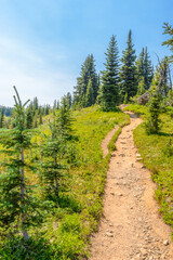 Fototapeta na wymiar Beautiful Mountain Trail. Blackwall Peak Trail at Manning Park in British Columbia. Canada.