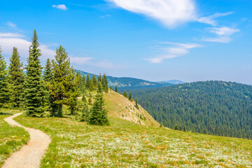 Beautiful Mountain Trail. Blackwall Peak Trail at Manning Park in British Columbia. Canada.